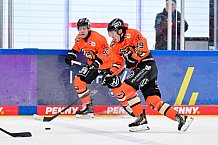 Eishockey, Herren, DEL, Saison 2025-2026, Spiel 33, ERC Ingolstadt - Grizzlys Wolfsburg, 28.12.2025