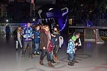 ERC Ingolstadt vs Schwenninger Wild Wings, Eishockey, DEL, Deutsche Eishockey Liga, Spieltag 25, 26.11.2017