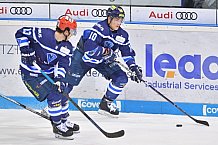 ERC Ingolstadt vs Schwenninger Wild Wings, DEL, Deutsche Eishockey Liga, Spieltag 48, 19.02.2019