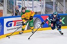 Hockey, Mens, CHL, Season 2025-2026, Regular Season, Game Day 1, ERC Ingolstadt - Ilves Tampere, 28.08.2025
