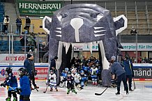 Eishockey, Saison 2025-2026, ERC Ingolstadt - Kids On Ice Day, 29.11.2025