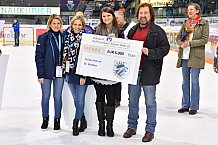 ERC Ingolstadt vs Schwenninger Wild Wings, Eishockey, DEL, Deutsche Eishockey Liga, Spieltag 25, 26.11.2017