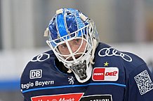 Eishockey, Herren, DEL, Saison 2024-2025, Spieltag 6, ERC Ingolstadt - Düsseldorfer EG, 04.10.2024