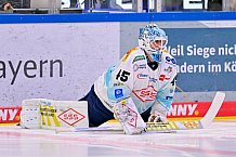 Eishockey, Herren, DEL, Saison 2025-2026, Spiel 44, ERC Ingolstadt - Dresdner Eislöwen, 27.01.2026