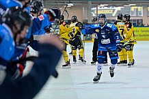 Eishockey, Herren, U20 DNL, Saison 2025-2026, Halbfinale - Spiel 2, ERC Ingolstadt - Krefelder EV 81, 15.03.2026