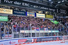Eishockey, Herren, DEL, Saison 2024-2025, Playoffs Viertelfinale, Spiel 5, ERC Ingolstadt - Nürnberg Ice Tigers, 26.03.2025