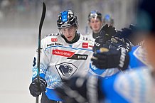Eishockey, Herren, DEL, Saison 2024-2025, Vorbereitung, ERC Ingolstadt - Dresdner Eislöwen, 18.08.2024