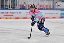 Eishockey, Frauen, DFEL, Saison 2023-2024, ERC Ingolstadt - Amsterdam Tigers, 06.01.2024