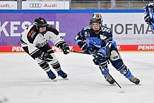 Eishockey, Frauen, DFEL, Saison 2023-2024, ERC Ingolstadt - Amsterdam Tigers, 06.01.2024