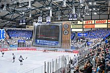 Eishockey, Herren, DEL, Saison 2023-2024, Spieltag 39, ERC Ingolstadt - Iserlohn Roosters, 19.01.2024