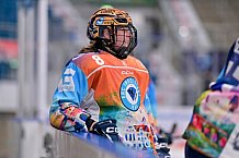 Eishockey, Frauen, DFEL, Saison 2024-2025, ERC Ingolstadt - Mad Dogs Mannheim, 23.11.2024