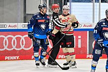Eishockey, Herren, DEL, Saison 2024-2025, Playoffs Viertelfinale, Spiel 1, ERC Ingolstadt - Nürnberg Ice Tigers, 16.03.2025