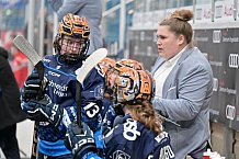 Eishockey, Frauen, DFEL, Saison 2024-2025, ERC Ingolstadt - EC Bergkamener Bären, 12.10.2024