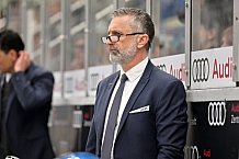 Eishockey, Herren, DEL, Saison 2024-2025, Spieltag 38, ERC Ingolstadt - Nürnberg Ice Tigers, 19.01.2025