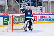 Hockey, Mens, CHL, Season 2025-2026, Regular Season, Round of 16, ERC Ingolstadt - EC Red Bull Salzburg, 12.11.2025