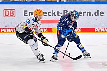 Eishockey, Herren, DEL, Saison 2024-2025, Spieltag 11, ERC Ingolstadt - Pinguins Bremerhaven, 20.10.2024