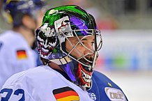 Duesseldorfer EG vs ERC Ingolstadt, Eishockey, DEL, Deutsche Eishockey Liga, Spieltag 47, 17.02.2019