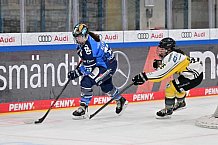 Eishockey, Frauen, DFEL, Saison 2023-2024, ERC Ingolstadt - Mad Dogs Mannheim, 18.02.2024
