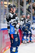 Eishockey, Herren, DEL, Saison 2024-2025, Playoffs Viertelfinale, Spiel 3, ERC Ingolstadt - Nürnberg Ice Tigers, 21.03.2025