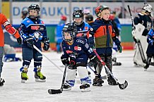 Eishockey, Saison 2025-2026, ERC Ingolstadt - Kids On Ice Day, 10.01.2026