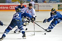 ERC Ingolstadt vs Straubing Tigers, Eishockey, DEL, Deutsche Eishockey Liga, Spieltag 16, 30.10.2016