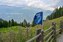 Eishockey, Herren, DEL, Saison 2023-2024, Vinschgau Cup, ERC Ingolstadt – Audi Almerlebnis, 26.08.2023