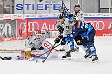 Eishockey, Herren, DEL, Saison 2024-2025, Spieltag 36, ERC Ingolstadt - Kölner Haie, 12.01.2025