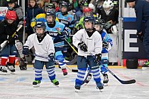 Eishockey, Herren, DEL, Saison 2023-2024, ERC Ingolstadt - Kids on Ice Day, 18.11.2023
