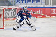 Eishockey, Herren, DEL, Saison 2024-2025, Spieltag 8, ERC Ingolstadt - Grizzlys Wolfsburg, 11.10.2024