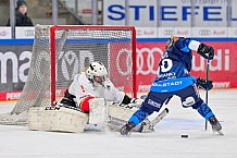 Eishockey, Frauen, DFEL, Saison 2024-2025, ERC Ingolstadt - EC Bergkamener Bären, 05.01.2025