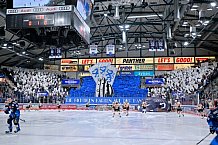 Eishockey, Herren, DEL, Saison 2024-2025, Playoffs Viertelfinale, Spiel 1, ERC Ingolstadt - Nürnberg Ice Tigers, 16.03.2025