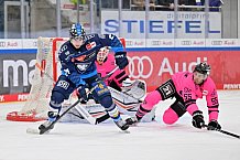 Eishockey, Herren, DEL, Saison 2024-2025, Spieltag 8, ERC Ingolstadt - Grizzlys Wolfsburg, 11.10.2024