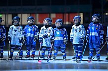 Eishockey, Herren, DEL, Saison 2024-2025, Spieltag 14, ERC Ingolstadt - Löwen Frankfurt, 31.10.2024