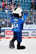 Eishockey, Herren, DEL, Saison 2025-2026, Spiel 28, ERC Ingolstadt - Iserlohn Roosters, 14.12.2025