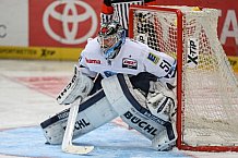 Koelner Haie - ERC Ingolstadt, Eishockey, Herren, Maenner, DEL, Spieltag 13, 23.10.2015