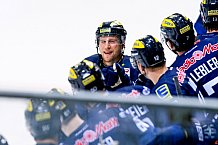 ERC Ingolstadt vs Thomas Sabo Ice Tigers, Eishockey, DEL, Deutsche Eishockey Liga, Spieltag 50,  02.03.2016
