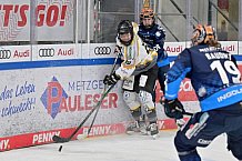 Eishockey, Frauen, DFEL, Saison 2024-2025, ERC Ingolstadt - Mad Dogs Mannheim, 23.11.2024
