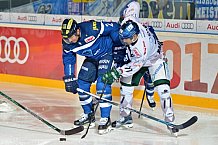ERC Ingolstadt vs Augsburger Panther, Eishockey, DEL, Deutsche Eishockey Liga, Spieltag 21, 23.11.2016