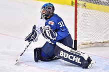 ERC Ingolstadt vs Duesseldorfer EG, Eishockey, DEL, Deutsche Eishockey Liga, Spieltag 22, 19.11.2017