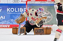 Eishockey, Herren, DEL, Saison 2024-2025, Spieltag 38, ERC Ingolstadt - Nürnberg Ice Tigers, 19.01.2025