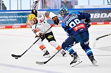 Eishockey, Herren, DEL, Saison 2025-2026, Spiel 10, ERC Ingolstadt - Löwen Frankfurt, 12.10.2025