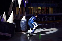 ERC Ingolstadt vs Iserlohn Roosters, DEL, Deutsche Eishockey Liga, Spieltag 41, 31.01.2020