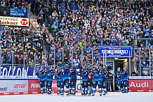 Eishockey, Herren, DEL, Saison 2024-2025, Spieltag 35, ERC Ingolstadt - Augsburger Panther, 10.01.2025