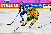 Hockey, Mens, CHL, Season 2025-2026, Regular Season, Game Day 1, ERC Ingolstadt - Ilves Tampere, 28.08.2025