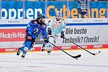 Eishockey, Herren, DEL, Saison 2025-2026, Spiel 23, ERC Ingolstadt - Dresdner Eislöwen, 28.11.2025