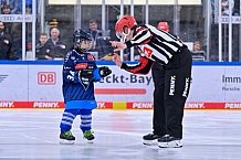 Eishockey, Herren, DEL, Saison 2024-2025, Spieltag 11, ERC Ingolstadt - Pinguins Bremerhaven, 20.10.2024