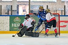 Eishockey, Frauen, DFEL, Saison 2024-2025, ERC Ingolstadt - HK Budapest Roster, 12.01.2025