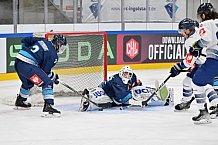 Eishockey, Mens, CHL, Season 2023-2024, ERC Ingolstadt - Vitkovice Ridera, 17.10.2023
