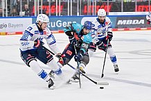Eishockey, Herren, DEL, Saison 2026-2027, Spieltag 4, ERC Ingolstadt - Adler Mannheim, 27.09.2026