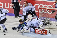 ERC Ingolstadt vs Koelner Haie am 20.01.2019, Spieltag 41